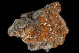 Red-Orange Bipyramidal Wulfenite Crystals - Melissa Mine, Arizona #118991-1